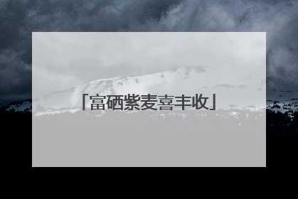 富硒紫麦喜丰收