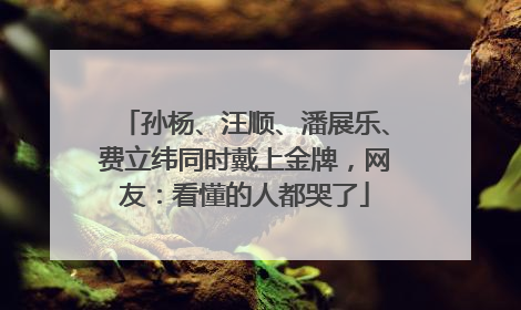 孙杨、汪顺、潘展乐、费立纬同时戴上金牌，网友：看懂的人都哭了