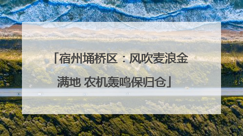 宿州埇桥区：风吹麦浪金满地 农机轰鸣保归仓