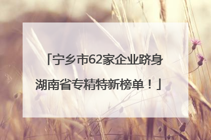 宁乡市62家企业跻身湖南省专精特新榜单！