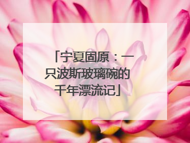 宁夏固原：一只波斯玻璃碗的千年漂流记