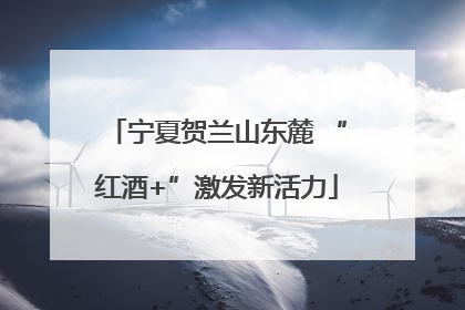 宁夏贺兰山东麓 “红酒+”激发新活力