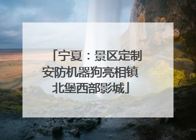 宁夏：景区定制安防机器狗亮相镇北堡西部影城