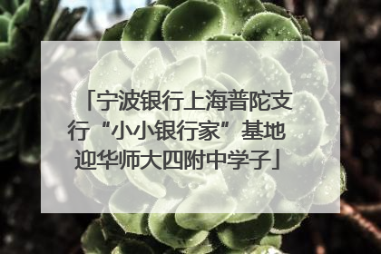 宁波银行上海普陀支行“小小银行家”基地迎华师大四附中学子