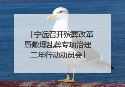 宁远召开殡葬改革暨散埋乱葬专项治理三年行动动员会