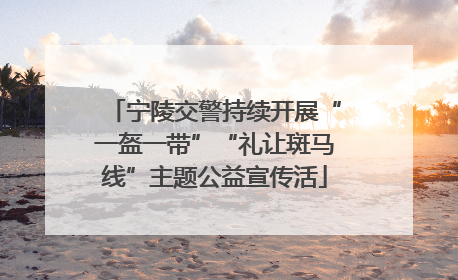 宁陵交警持续开展“一盔一带”“礼让斑马线”主题公益宣传活