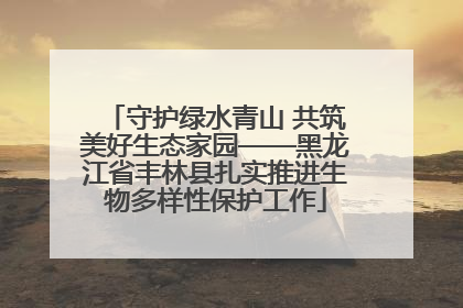 守护绿水青山 共筑美好生态家园——黑龙江省丰林县扎实推进生物多样性保护工作