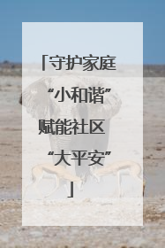 守护家庭“小和谐” 赋能社区“大平安”