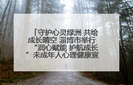 守护心灵绿洲 共绘成长晴空 淄博市举行“润心赋能 护航成长”未成年人心理健康宣传教育主题活动