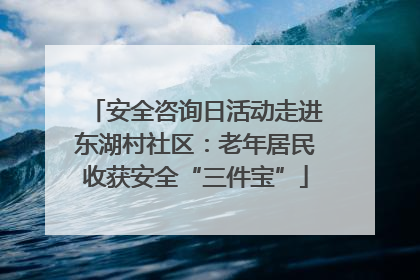 安全咨询日活动走进东湖村社区：老年居民收获安全“三件宝”