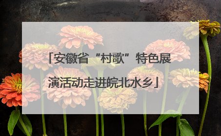 安徽省“村歌”特色展演活动走进皖北水乡
