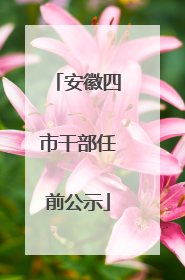 安徽四市干部任前公示