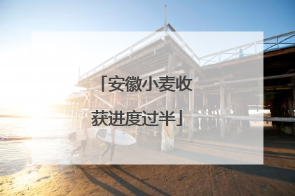 安徽小麦收获进度过半