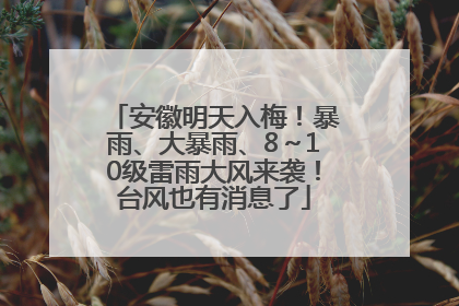 安徽明天入梅！暴雨、大暴雨、8～10级雷雨大风来袭！台风也有消息了