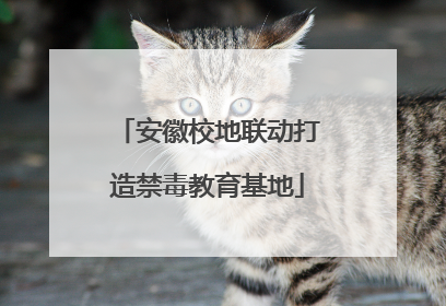 安徽校地联动打造禁毒教育基地
