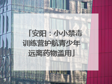 安阳：小小禁毒训练营护航青少年远离药物滥用