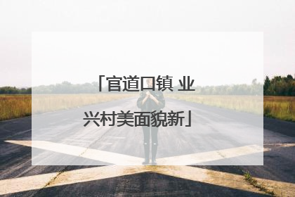 官道口镇 业兴村美面貌新