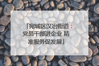 宛城区汉冶街道：党员干部进企业 精准服务促发展