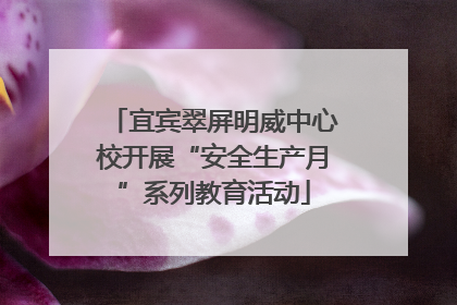 宜宾翠屏明威中心校开展“安全生产月”系列教育活动