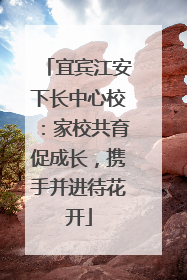 宜宾江安下长中心校：家校共育促成长，携手并进待花开