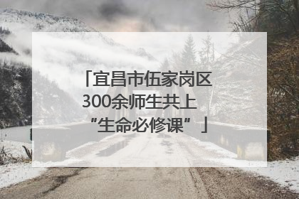 宜昌市伍家岗区300余师生共上“生命必修课”