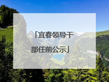 宜春领导干部任前公示