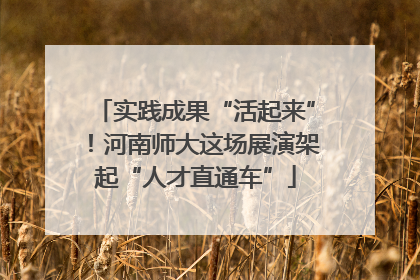 实践成果“活起来”！河南师大这场展演架起“人才直通车”