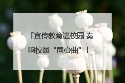 宣传教育进校园 奏响校园“同心曲”