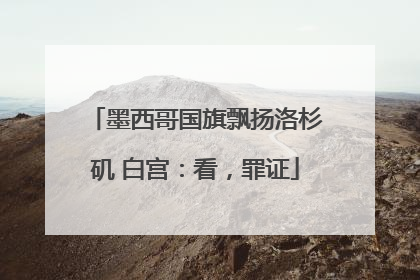 墨西哥国旗飘扬洛杉矶 白宫：看，罪证