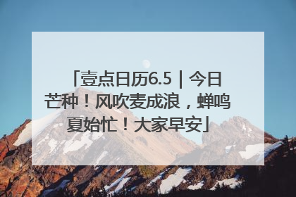壹点日历6.5｜今日芒种！风吹麦成浪，蝉鸣夏始忙！大家早安