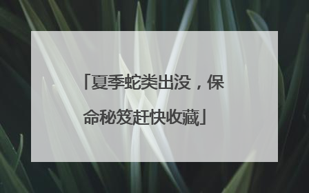 夏季蛇类出没，保命秘笈赶快收藏