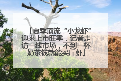 夏季顶流“小龙虾”迎来上市旺季，记者走访一线市场，不到一杯奶茶钱就能买斤虾
