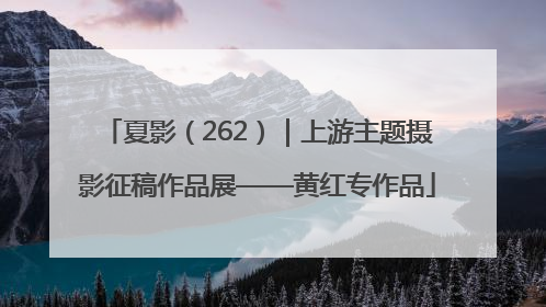 夏影（262）｜上游主题摄影征稿作品展——黄红专作品
