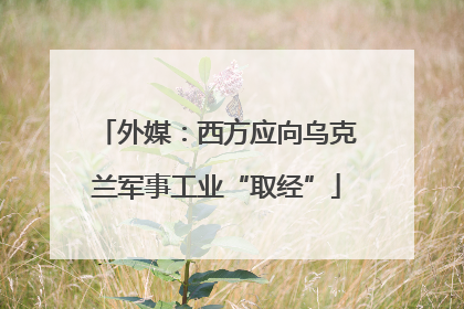 外媒：西方应向乌克兰军事工业“取经”