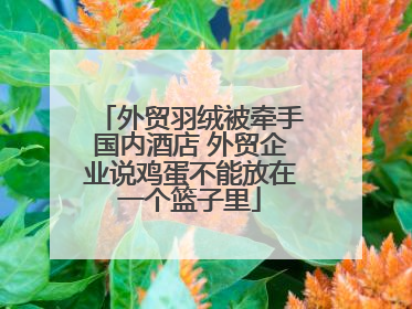 外贸羽绒被牵手国内酒店 外贸企业说鸡蛋不能放在一个篮子里