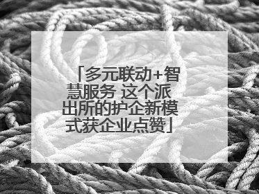 多元联动+智慧服务 这个派出所的护企新模式获企业点赞