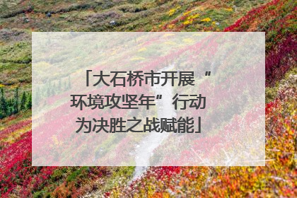 大石桥市开展“环境攻坚年”行动为决胜之战赋能