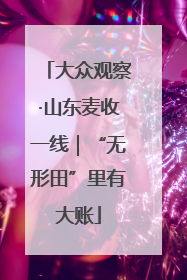 大众观察·山东麦收一线｜“无形田”里有大账