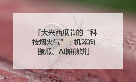大兴西瓜节的“科技烟火气”：机器狗搬瓜、AI摊煎饼