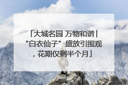 大城名园 万物和谐│“白衣仙子”盛放引围观，花期仅剩半个月