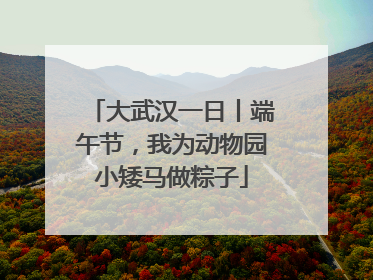 大武汉一日丨端午节，我为动物园小矮马做粽子