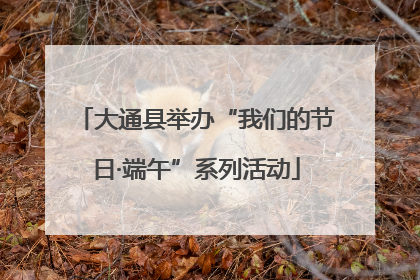 大通县举办“我们的节日·端午”系列活动