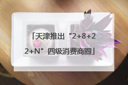 天津推出“2+8+22+N”四级消费商圈