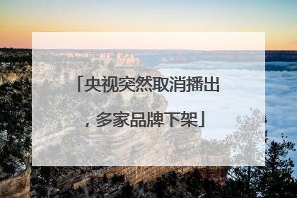 央视突然取消播出，多家品牌下架