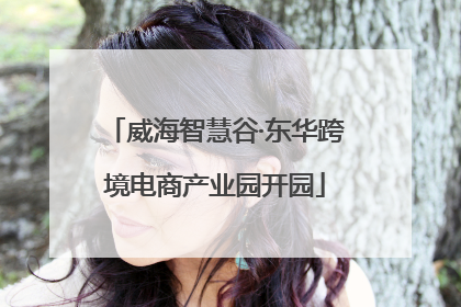 威海智慧谷·东华跨境电商产业园开园
