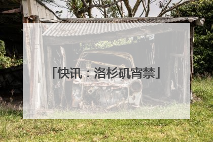快讯：洛杉矶宵禁