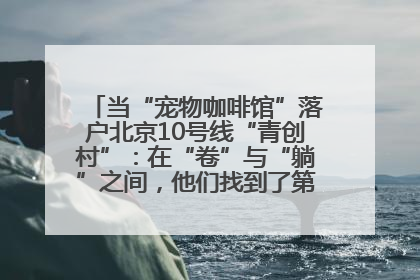 当“宠物咖啡馆”落户北京10号线“青创村”：在“卷”与“躺”之间，他们找到了第三种生活公式