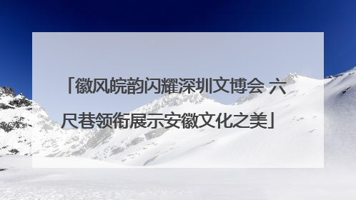 徽风皖韵闪耀深圳文博会 六尺巷领衔展示安徽文化之美