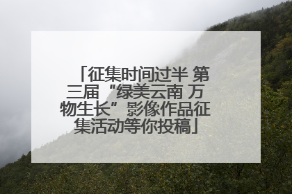 征集时间过半 第三届“绿美云南 万物生长”影像作品征集活动等你投稿
