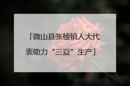 微山县张楼镇人大代表助力“三夏”生产